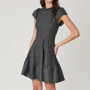 Shoshanna Delaney Elegant Gray Silver Thread Striped Dress Sz 4 NEW NWT